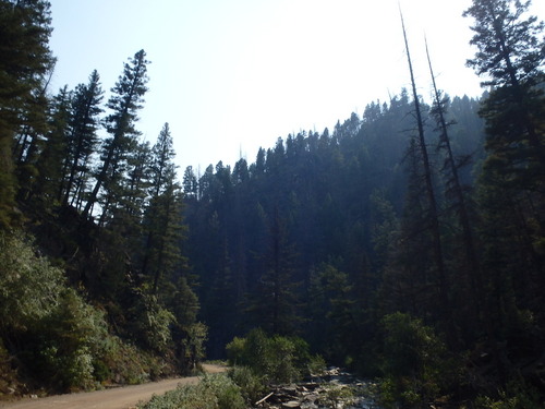 GDMBR: We rode next to a mountian river for quite a while.